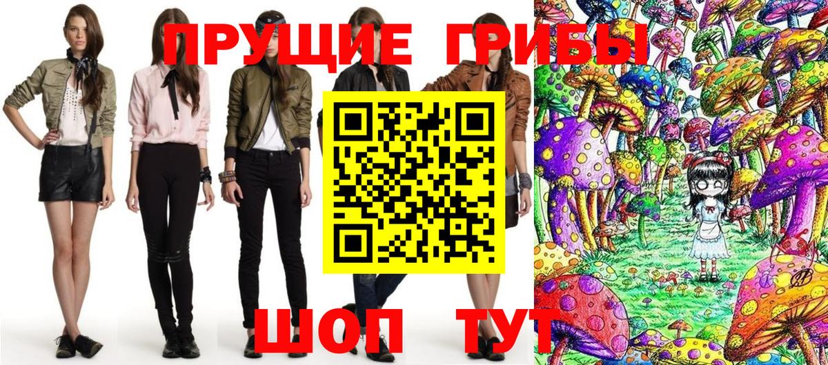Псилоцибиновые грибы мицелий Великий Новгород