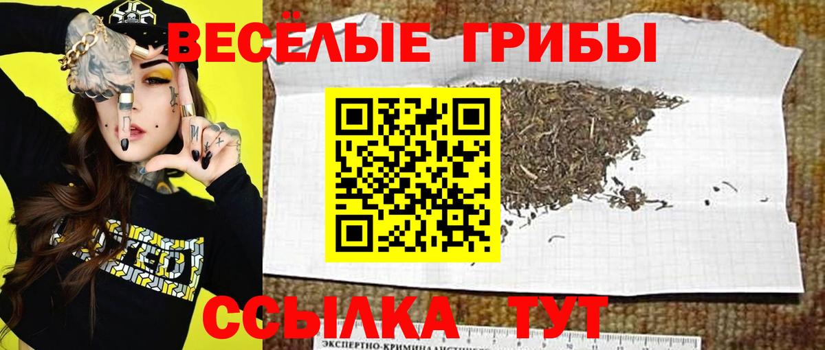 Великий Новгород  Псилоцибиновые грибы MAGIC MUSHROOMS  Вход с VPN  Галлюциногенные грибы мухоморы 